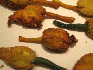 Fried Stuffed Zucchini Blossoms on paper towels