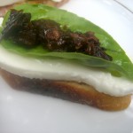 Crostini with Burrata, Basil and Sundried Tomatoes