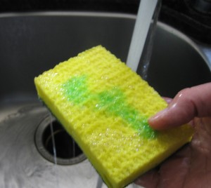 sponge with liquid dish detergent