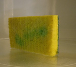 upright soapy sponge in microwave