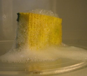 sponge in microwave