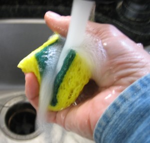 rinsing kitchen sponge under running water