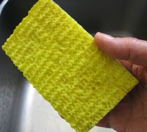 hand holding a clean sponge