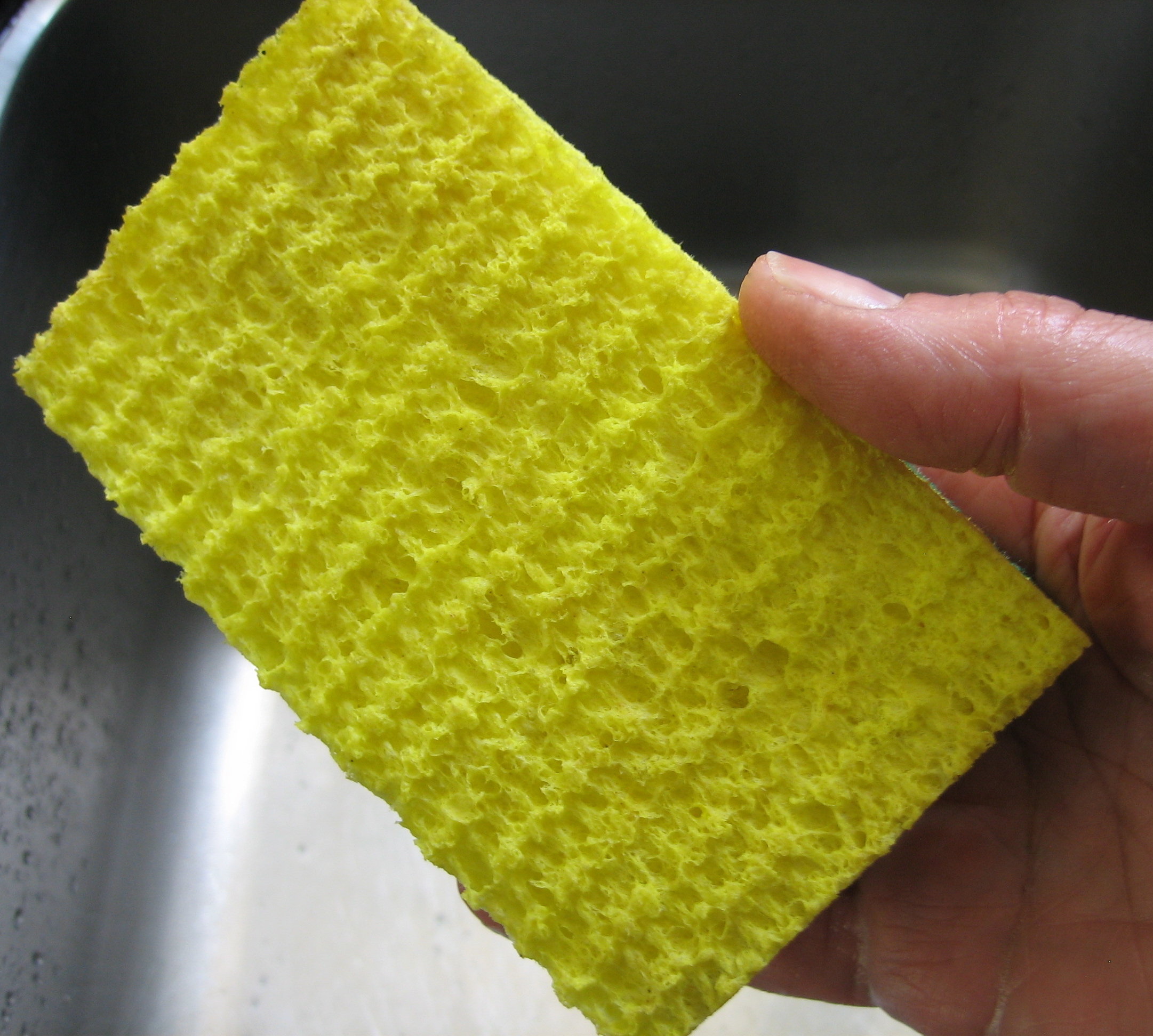 How to Keep Kitchen Sponges Germ-Free