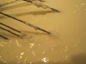 Making Cheese - stirring milk