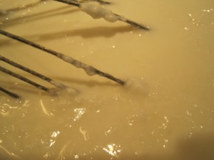 Making Cheese - stirring milk