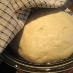 Pizza Dough in bowl