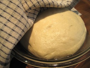 bread dough in bowl