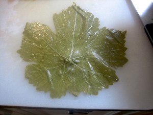 Grape Leaf on cutting board