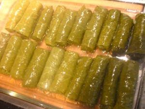 Stuffed grape leaves ready for the oven