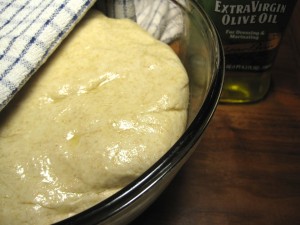 Sourdough Wheat dough rising in bowl